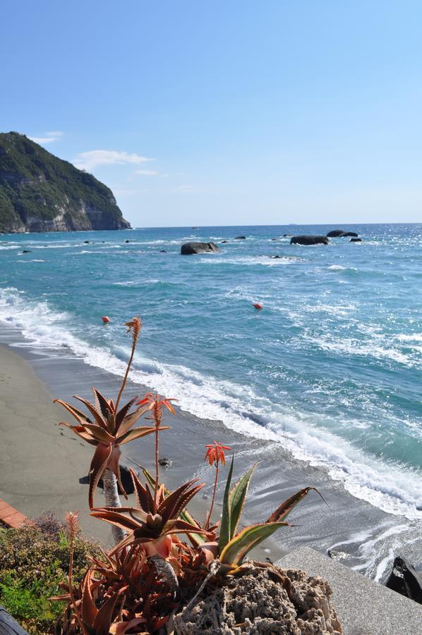 La Citarea Bed & Breakfast Forio di Ischia Dış mekan fotoğraf