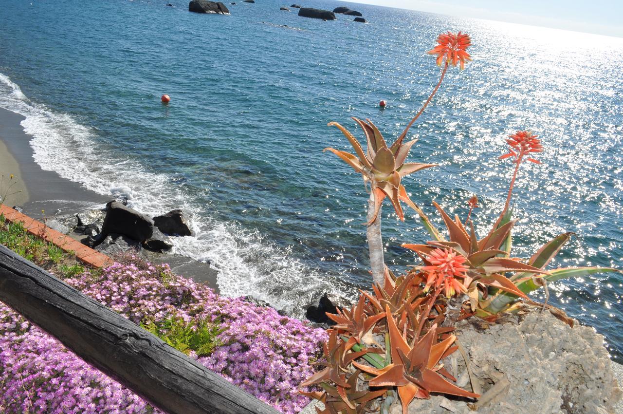 La Citarea Bed & Breakfast Forio di Ischia Dış mekan fotoğraf