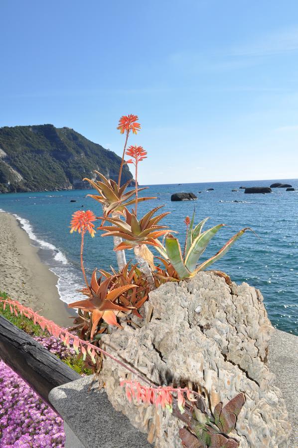 La Citarea Bed & Breakfast Forio di Ischia Dış mekan fotoğraf
