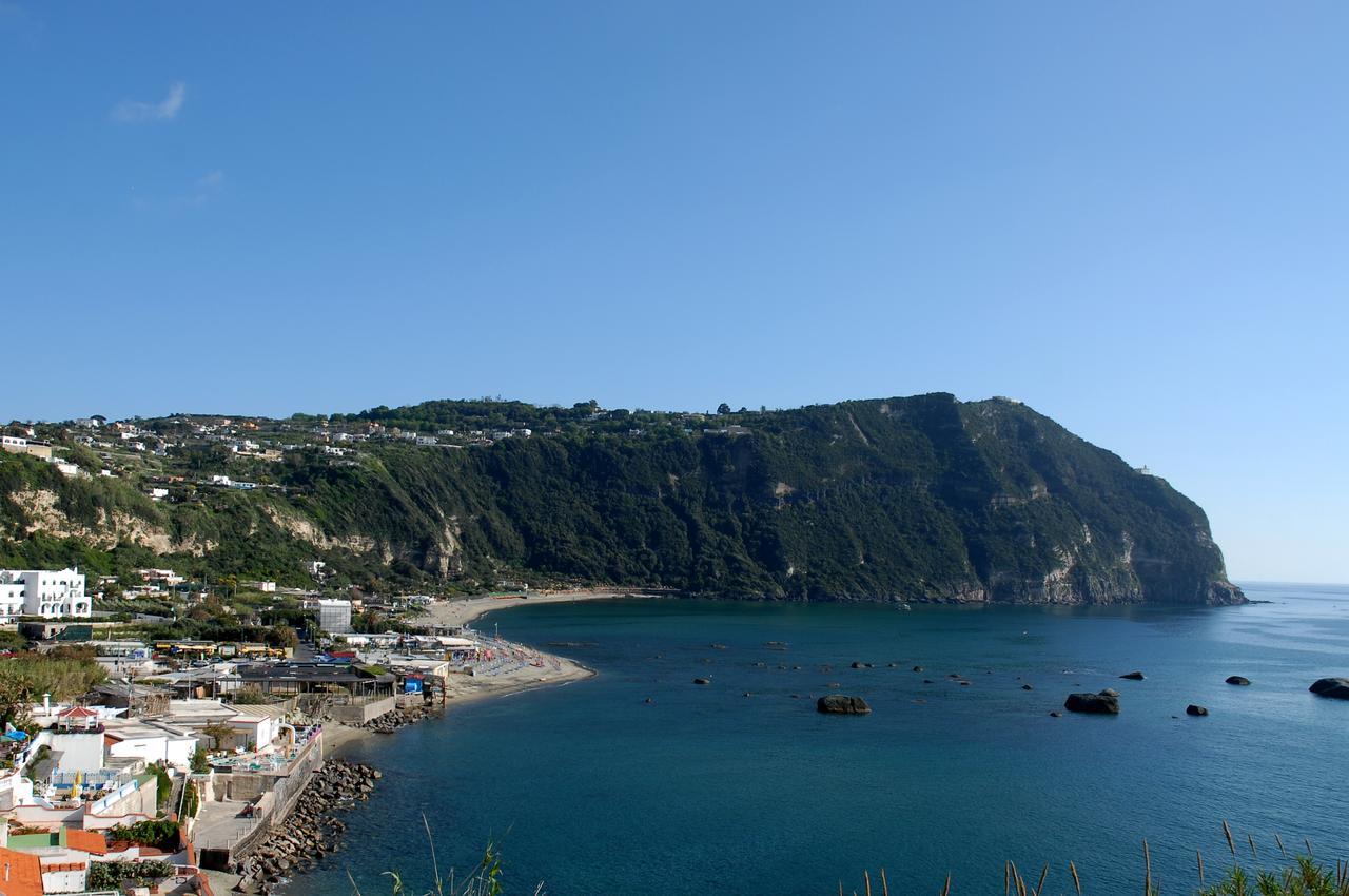 La Citarea Bed & Breakfast Forio di Ischia Dış mekan fotoğraf