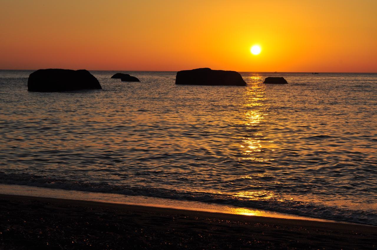 La Citarea Bed & Breakfast Forio di Ischia Dış mekan fotoğraf